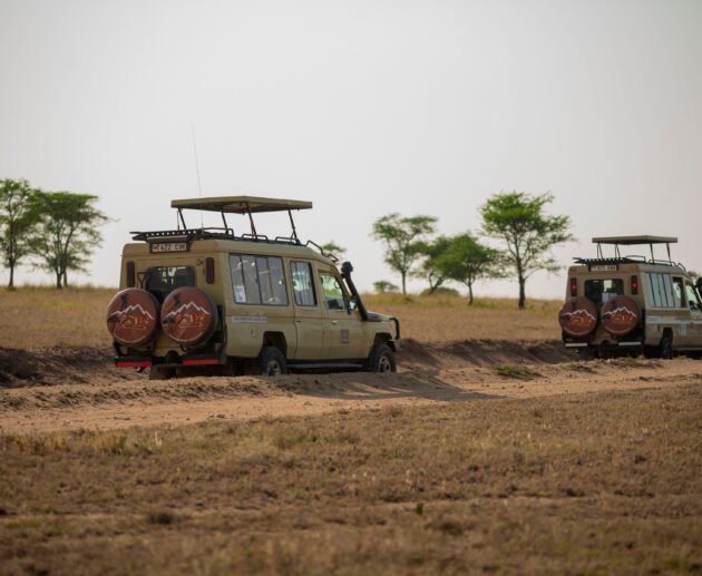 TANZANIA SAFARI | Do's & Don'ts | Planning Tips & Itinerary – 1 Smart Guide 2026, 2027 & 2028