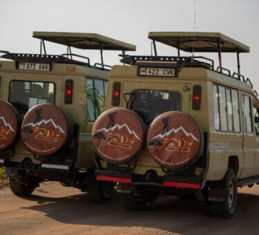 Tanzania Safari Optimized for Comfort, Timing, and Wildlife 2026/2027/2028 – 7 Powerful Reasons to Book Now