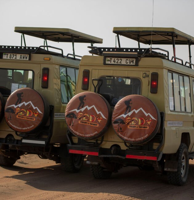 Plan Your Vacation - A World In One Country - Africa Safari | 1 Ultimate Life-Changing Journey 2026, 2027 & 2028