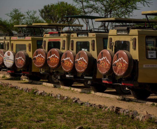 Where to Go in Tanzania | Best Tanzania Safari Destinations 2026/2027/2028