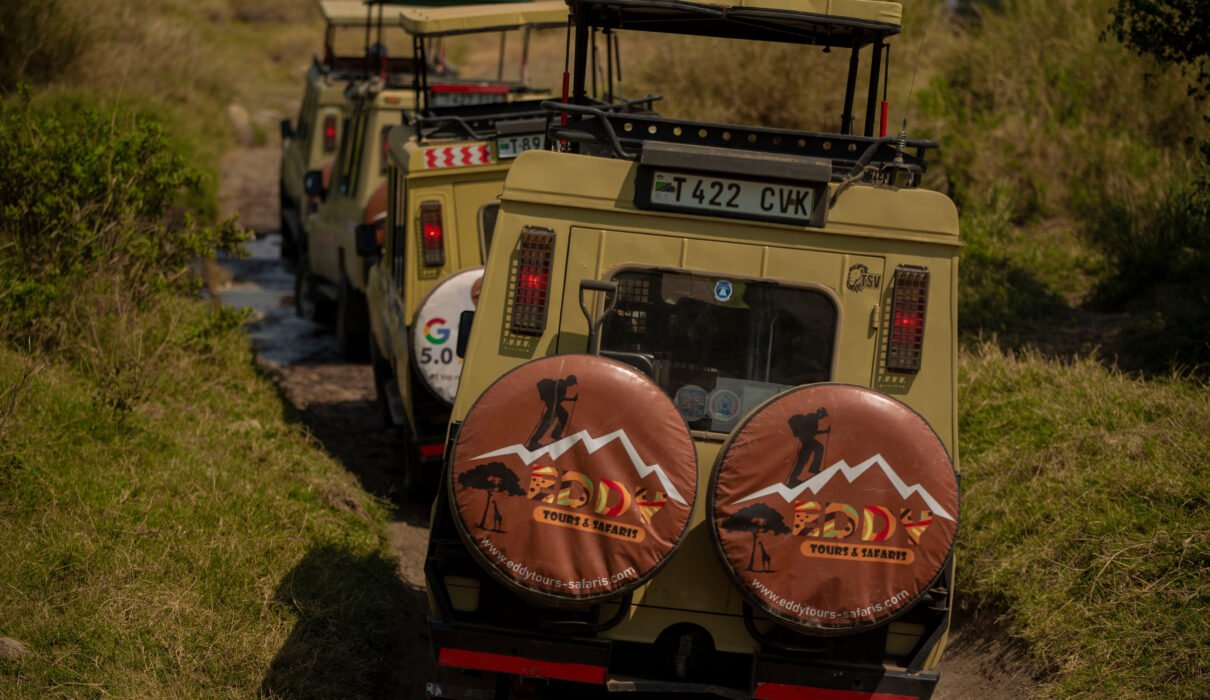 Journeys: Tanzania Safari Experience – 1 Powerful Luxury & Wildlife Adventure 2026, 2027 & 2028