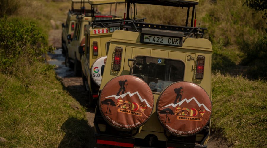 Journeys: Tanzania Safari Experience – 1 Powerful Luxury & Wildlife Adventure 2026, 2027 & 2028