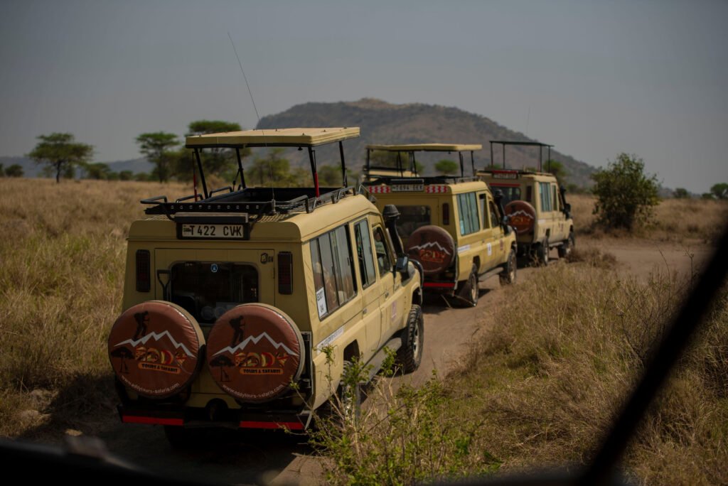 3 Days Serengeti & Ngorongoro Group Camping Safari: Best Budget Adventure 2026, 2027 & 2028