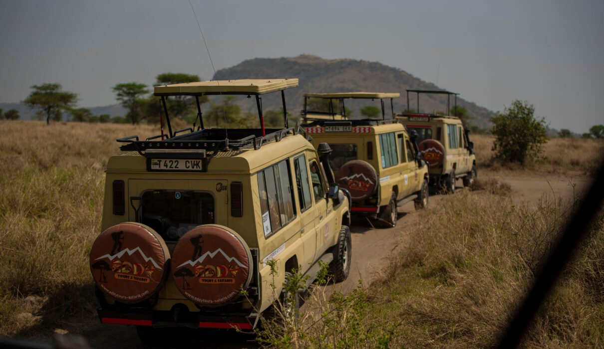 3 Days Serengeti & Ngorongoro Group Camping Safari: Best Budget Adventure 2026, 2027 & 2028
