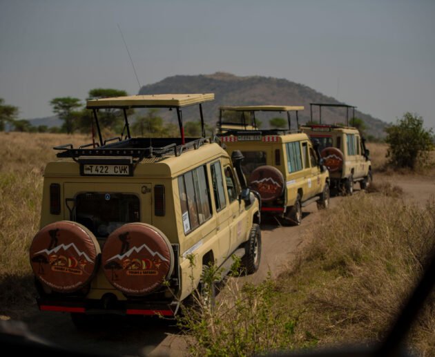 3 Days Serengeti & Ngorongoro Group Camping Safari: Best Budget Adventure 2026, 2027 & 2028