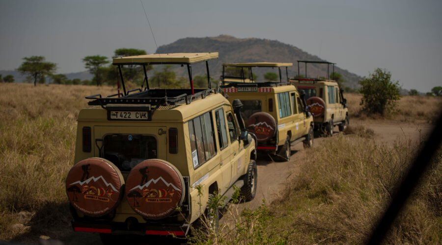 3 Days Serengeti & Ngorongoro Group Camping Safari: Best Budget Adventure 2026, 2027 & 2028