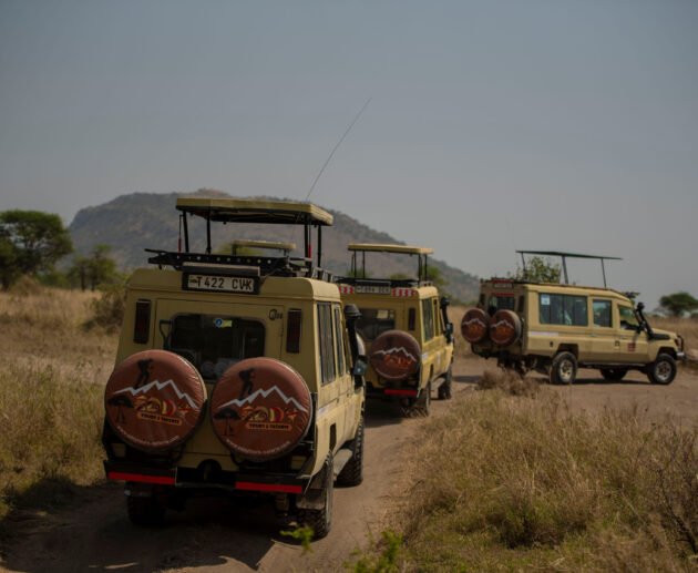 6 Days Tanzania Great Mid-Range Safari – 1 Ultimate Wildlife Experience 2026, 2027 & 2028
