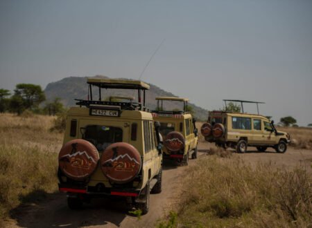 Best 4-Day Tanzania Safari Tour from Arusha or Moshi: Ultimate Wildlife Adventure Package