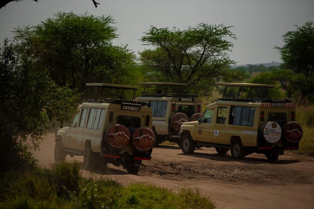 6 Days Tanzania Safari | Tarangire, Serengeti, Ngorongoro – Ultimate 2027 Adventure Package