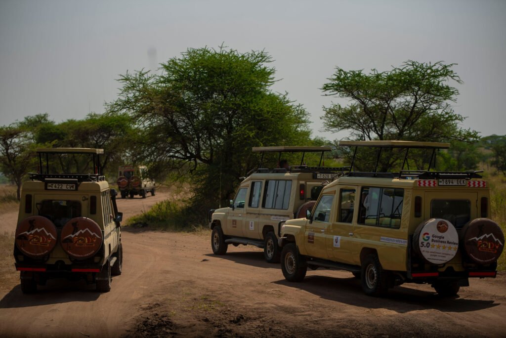 Explore 4 Days Tanzania Safari Tours / Packages for 2026, 2027 & 2028