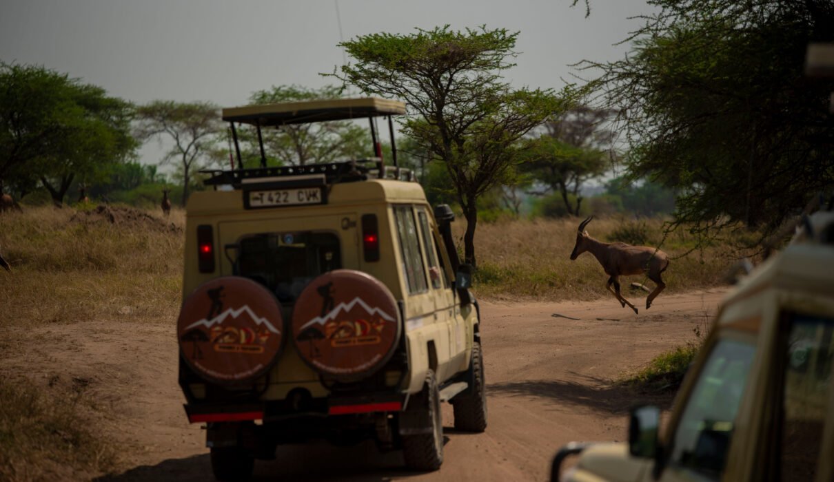 7-Day Tanzania Tour Itinerary: 7 Powerful Experiences Our Travelers Loved (2026/2027/2028)