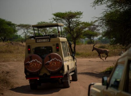 7-Day Tanzania Tour Itinerary: 7 Powerful Experiences Our Travelers Loved (2026/2027/2028)