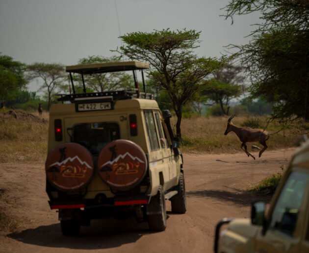 7-Day Tanzania Tour Itinerary: 7 Powerful Experiences Our Travelers Loved (2026/2027/2028)