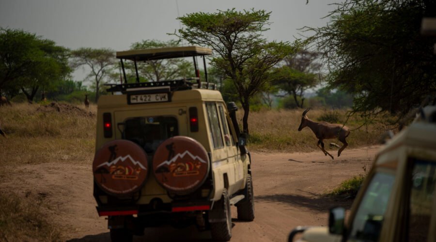 7-Day Tanzania Tour Itinerary: 7 Powerful Experiences Our Travelers Loved (2026/2027/2028)