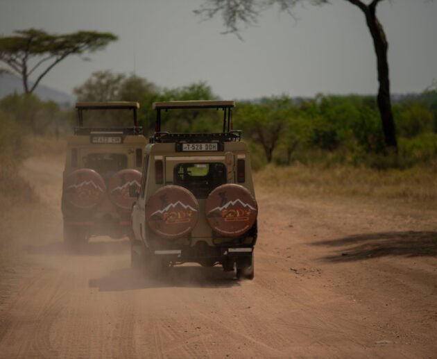 Tanzania Safaris: 1 Ultimate Luxury Bespoke Holidays Guide for 2026/2027/2028