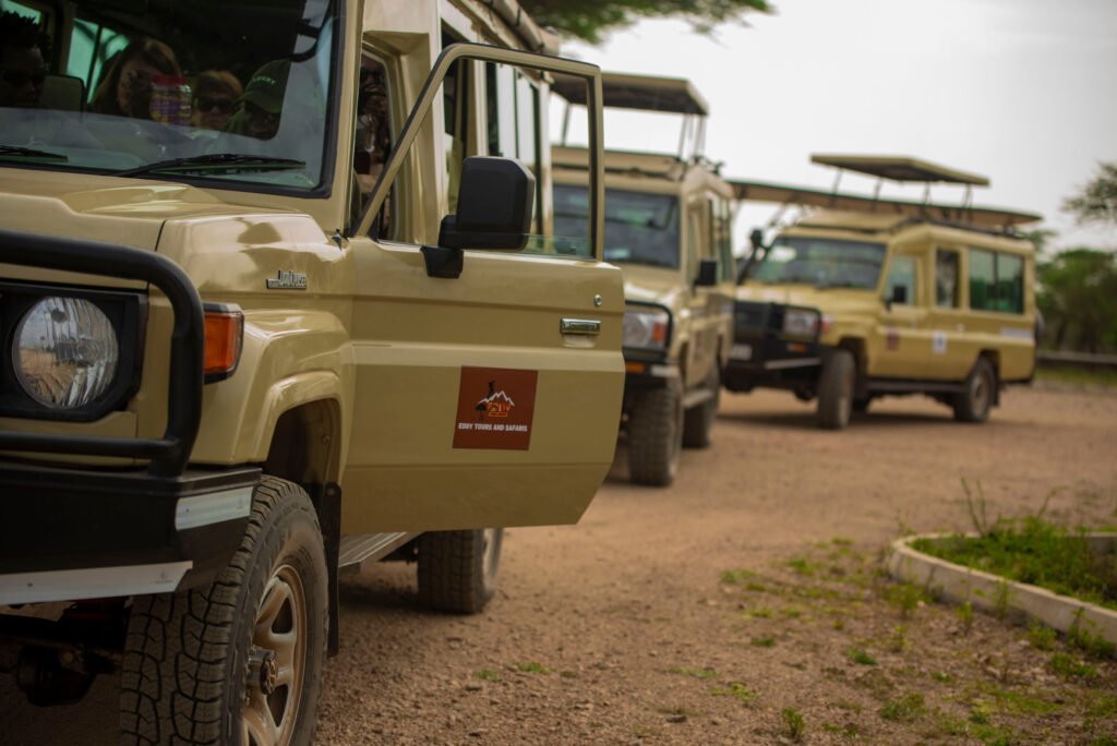 Wildebeest Migration Safari - Western Corridor - 6 Days: 1 Powerful Serengeti Adventure for 2026/2027/2028