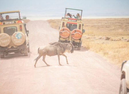 Arusha: 6-Day Great Wildebeest Migration Safari 2026/2027/2028 – Unforgettable Big Five Adventure
