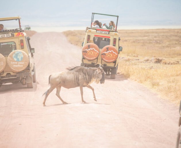 Arusha: 6-Day Great Wildebeest Migration Safari 2026/2027/2028 – Unforgettable Big Five Adventure