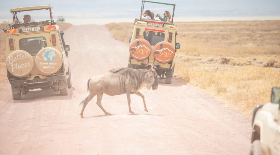 Arusha: 6-Day Great Wildebeest Migration Safari 2026/2027/2028 – Unforgettable Big Five Adventure