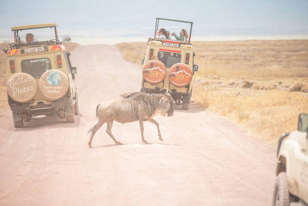 6-Day Masai Mara Wildebeest Migration Safari 2026/2027/2028 – Ultimate Big Five Adventure Package
