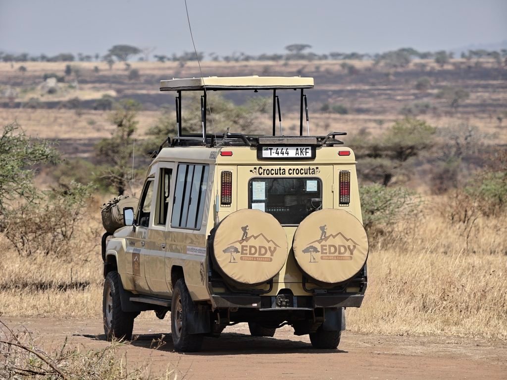 7-Day Tanzania Family-Friendly Migration Safari – Incredible Wildlife Experience 2027, 2028 & 2029 7-Day Tanzania Family-Friendly Migration Safari – Incredible Wildlife Experience 2027, 2028 & 2029