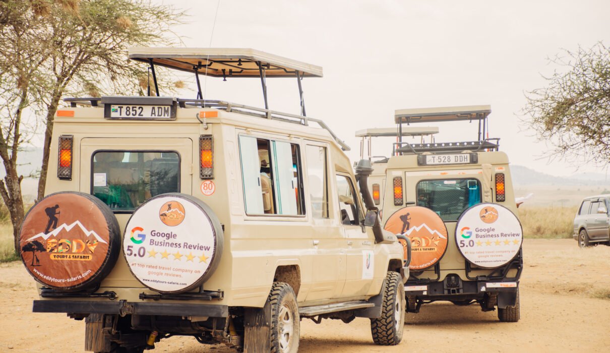 Best Visa-Free Countries for Travelers in 2026/2027/2028 Trips – 17 Amazing Destinations You Can Visit Easily