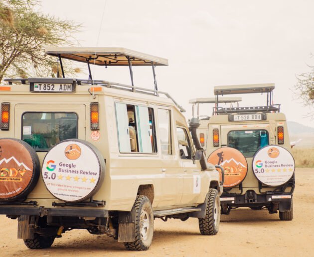 Best Visa-Free Countries for Travelers in 2026/2027/2028 Trips – 17 Amazing Destinations You Can Visit Easily