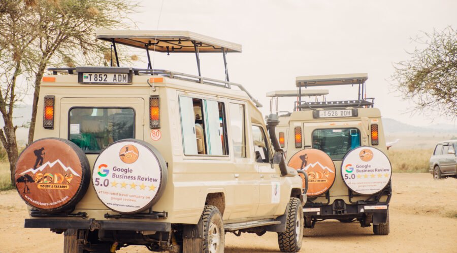 Best Visa-Free Countries for Travelers in 2026/2027/2028 Trips – 17 Amazing Destinations You Can Visit Easily