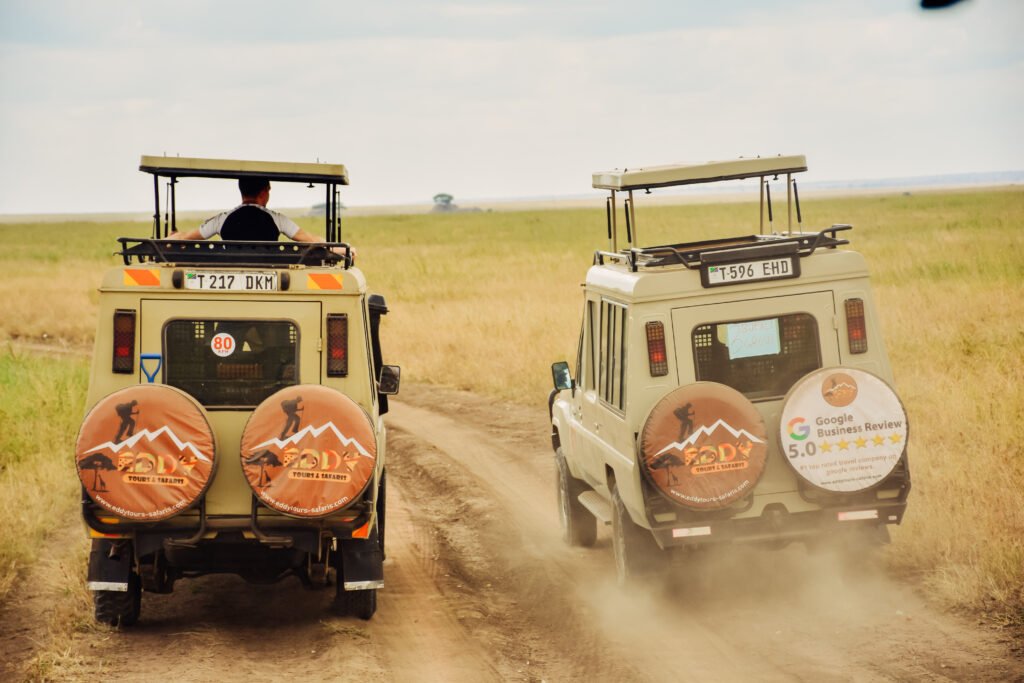 One of the Reputable Tour Operators in Tanzania & Africa in General 2026/2027/2028: 7 Powerful Reasons to Choose the Best