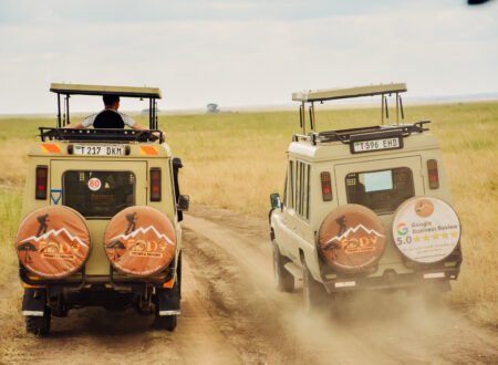 One of the Reputable Tour Operators in Tanzania & Africa in General 2026/2027/2028: 7 Powerful Reasons to Choose the Best