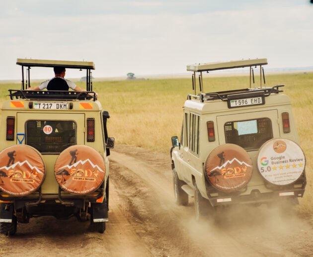 One of the Reputable Tour Operators in Tanzania & Africa in General 2026/2027/2028: 7 Powerful Reasons to Choose the Best