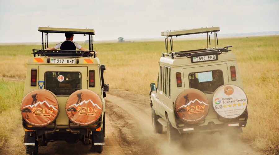 One of the Reputable Tour Operators in Tanzania & Africa in General 2026/2027/2028: 7 Powerful Reasons to Choose the Best