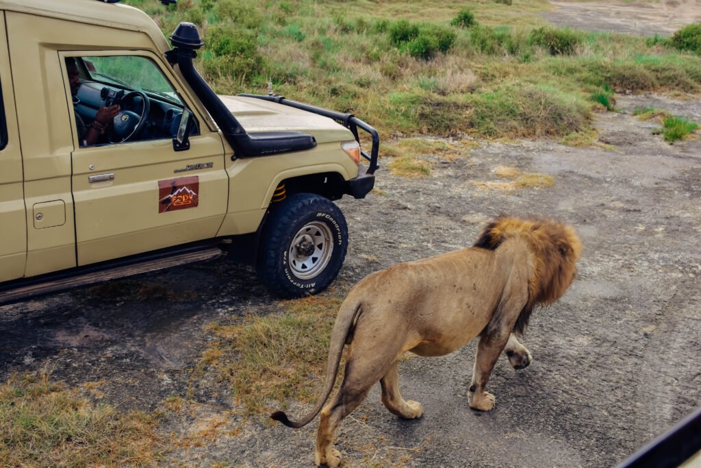 Cheapest Flights Tips 2026 – Save Money Fast 2026/2027/2028: 15 Powerful Ways to Cut Airfare Costs