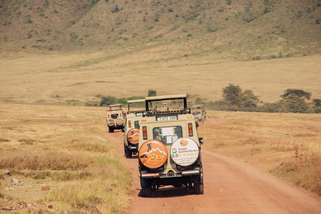 One of the Reputable Tour Operators in Tanzania & Africa in General 2026/2027/2028: 7 Powerful Reasons to Choose the Best