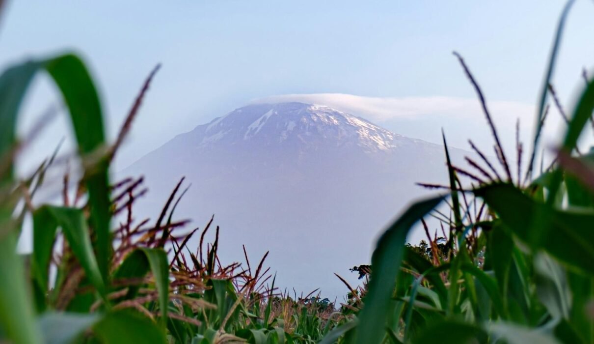 3 Days Mount Meru Climbing from Kilimanjaro Airport, Moshi or Arusha – 1 Smart Adventure Plan 2026, 2027 & 2028