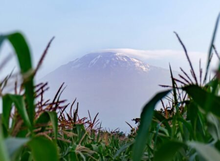 3 Days Mount Meru Climbing from Kilimanjaro Airport, Moshi or Arusha – 1 Smart Adventure Plan 2026, 2027 & 2028