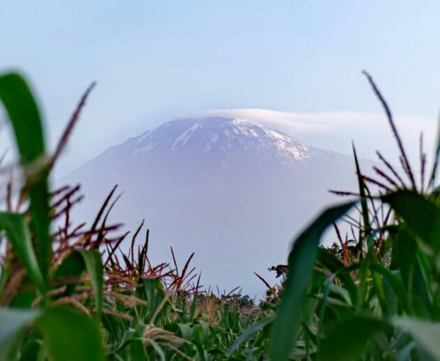 3 Days Mount Meru Climbing from Kilimanjaro Airport, Moshi or Arusha – 1 Smart Adventure Plan 2026, 2027 & 2028