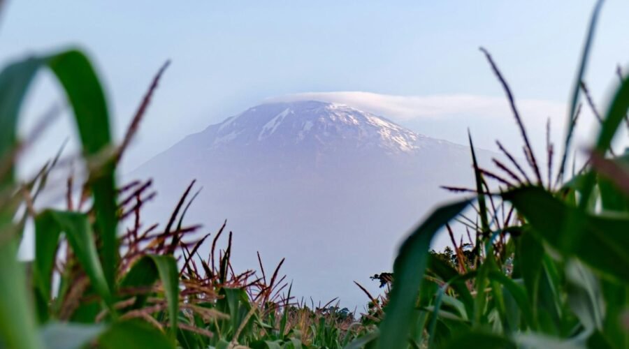 3 Days Mount Meru Climbing from Kilimanjaro Airport, Moshi or Arusha – 1 Smart Adventure Plan 2026, 2027 & 2028