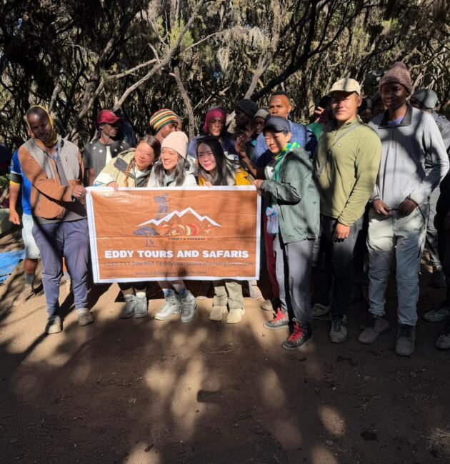 Family-Friendly Tanzania Safari Packages: Travel with Kids Made Easy – 1 Smart & Safe Plan 2026, 2027 & 2028