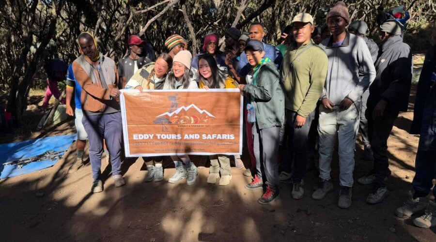 Family-Friendly Tanzania Safari Packages: Travel with Kids Made Easy – 1 Smart & Safe Plan 2026, 2027 & 2028