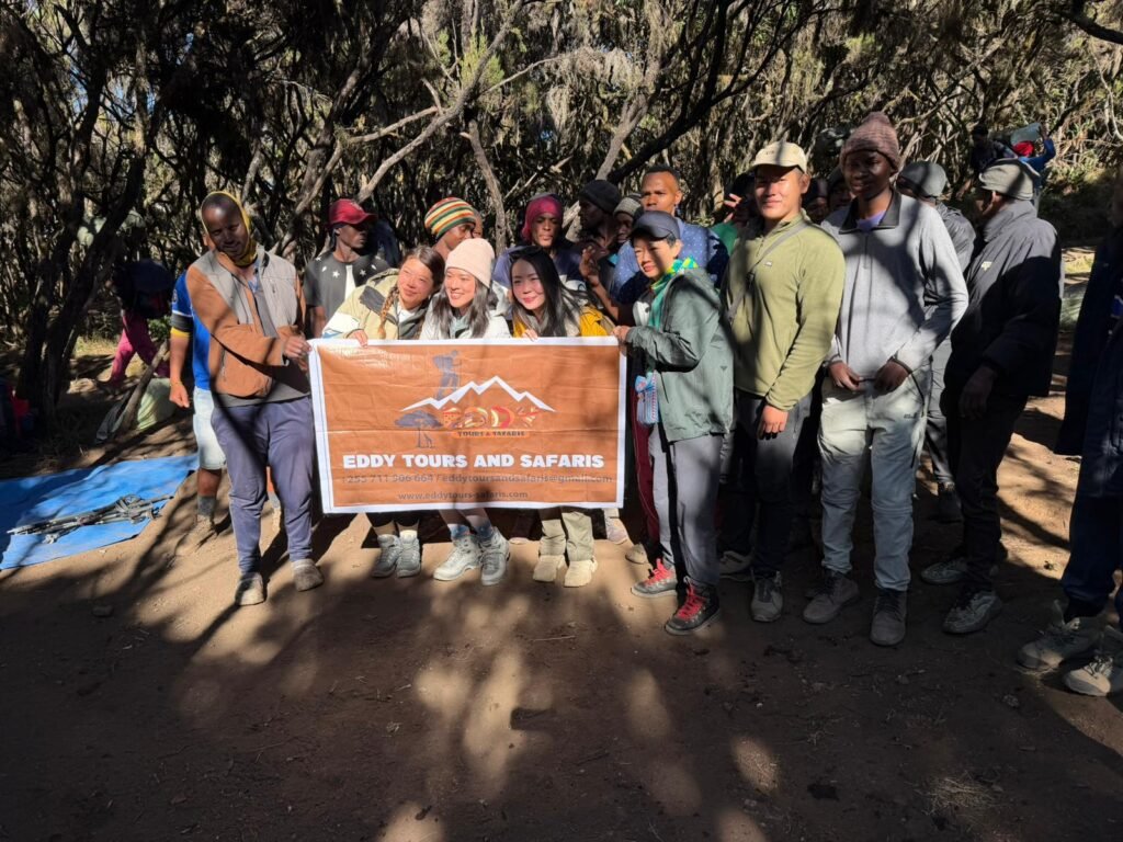 5 Days Group Joining Kilimanjaro Climbing, Marangu Route – 1 Smart Fixed Departure Plan 2026, 2027 & 2028