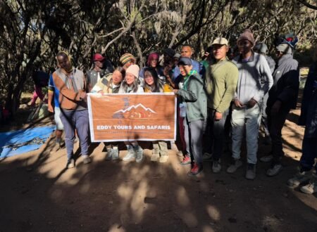 Lemosho 8 Day Climb - Kilimanjaro Experience 2026: Powerful Scenic Route Adventure