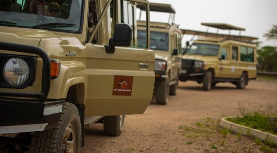 3-Day Affordable Tanzania Safari Package from Airport, Moshi or Arusha – 1 Smart Budget Adventure 2026, 2027 & 2028