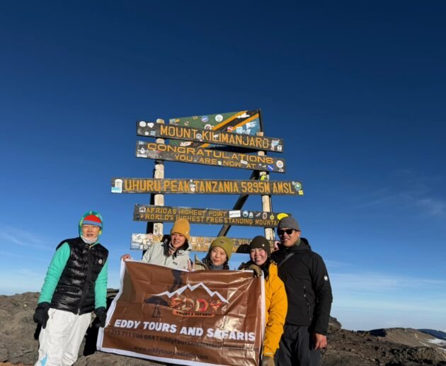 Lemosho Route 8 days Itinerary, Prices & Dates: Proven 8-Day Success Guide