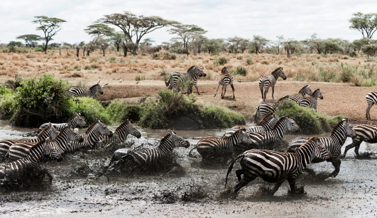 6 Day Budget-friendly Serengeti Migration Joining Group – 1 Smart & Affordable Safari 2026, 2027 & 2028