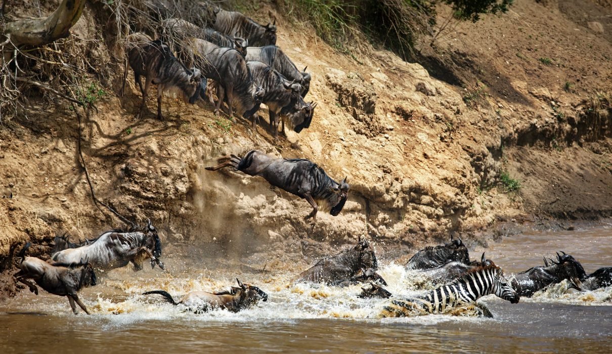 6 Days Serengeti Calving Season Great Migration Safari – Tanzania 2027, 2028 & 2029