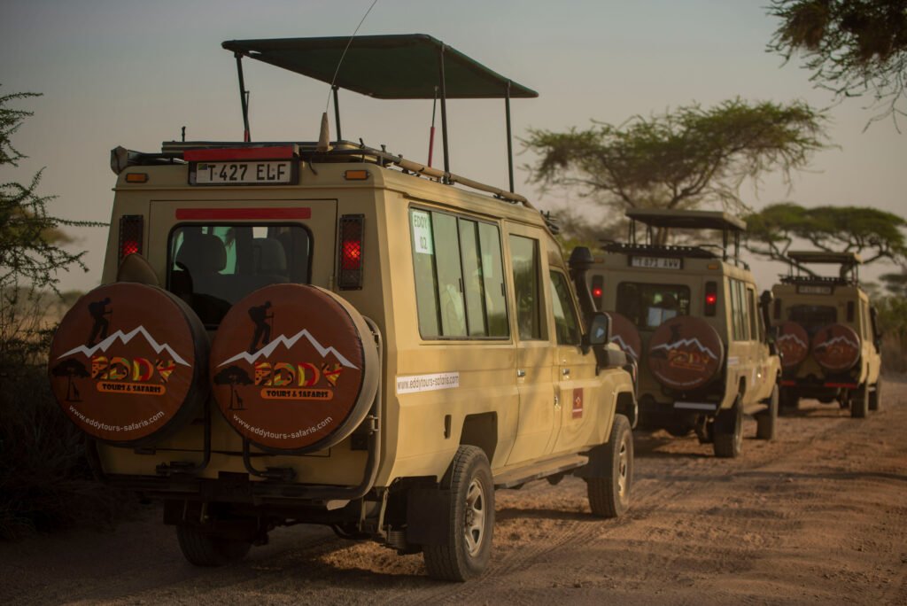 4 Days Luxury Safari Serengeti and Ngorongoro – 1 Stunning Premium Escape 2026, 2027 & 2028