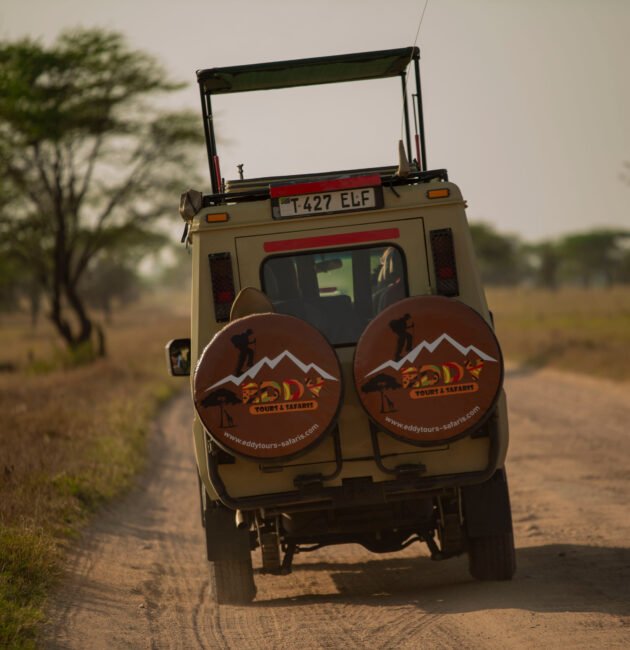 Best 4-Day Tanzania Safari From Zanzibar (Fly In - Fly Out) – 1 Stunning Wildlife Escape 2026, 2027 & 2028