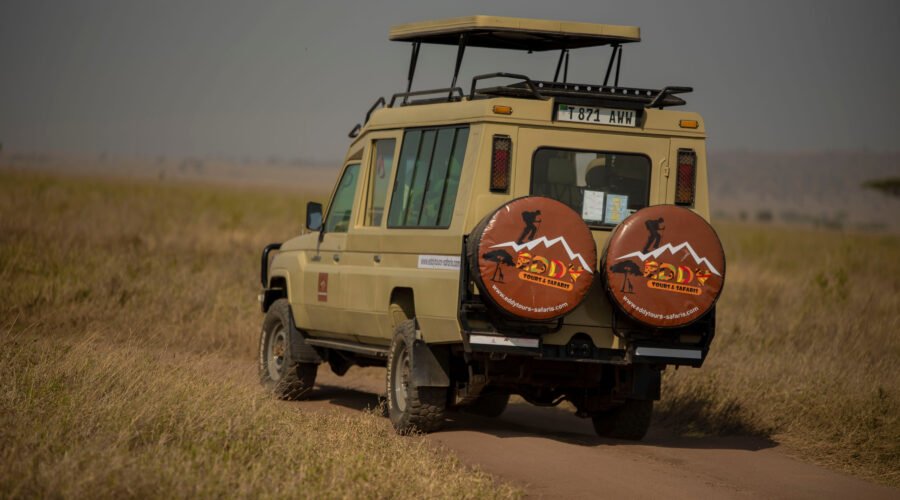 Luxury Tanzania Safari Packages for Couples – 1 Romantic African Escape 2026, 2027 & 2028
