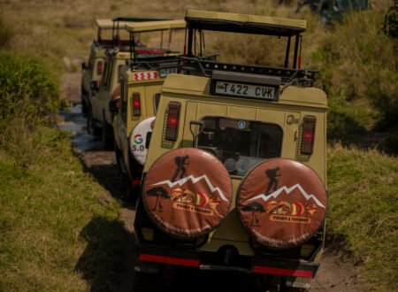 6 Days Group Budget Safari from Arusha in Tanzania – 1 Affordable Wildlife Adventure 2026, 2027 & 2028